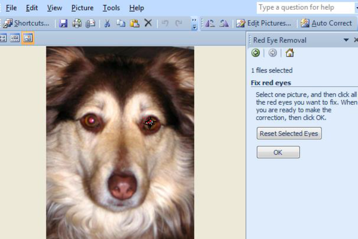 Photo editing with Picture Manager source image 8