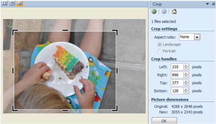 Photo editing with Picture Manager source image 7